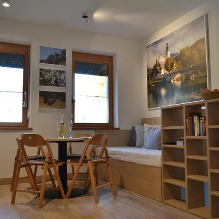 Lägenhet Apartma Vodnik