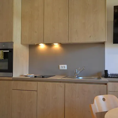 Apartma Vodnik Daire *