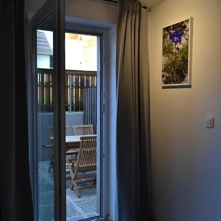 Apartma Vodnik Daire