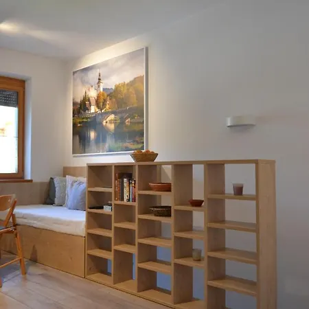 Apartma Vodnik ボーヒニ