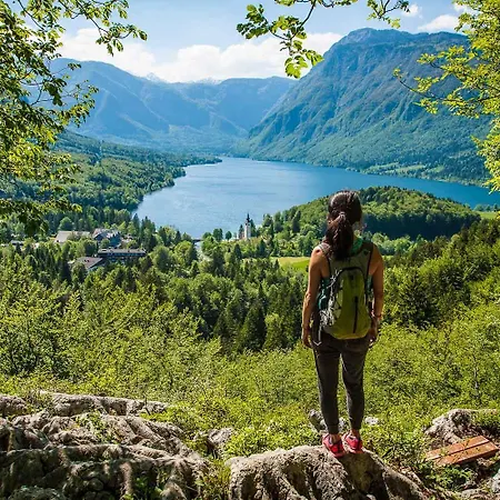 Διαμέρισμα Apartma Vodnik