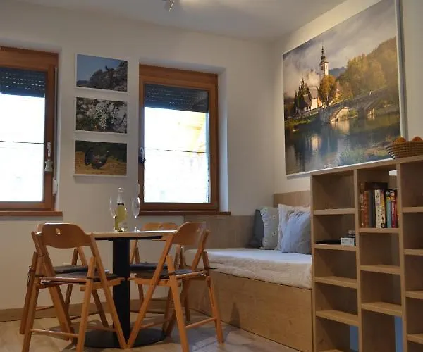 Διαμέρισμα Apartma Vodnik