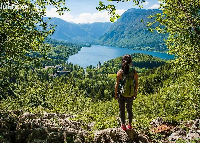 Διαμέρισμα Apartma Vodnik